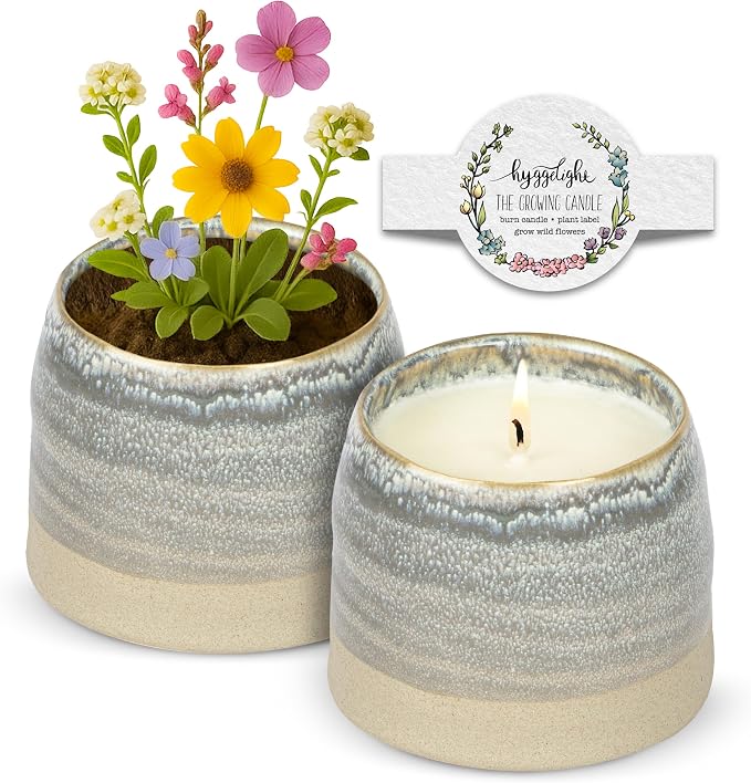 Hyggelight - The Growing Candle, Lemongrass Scented, 10oz Ceramic Pot, Single Wick Aromatherapy Candles, 100% Soy for Women and Men, Greta