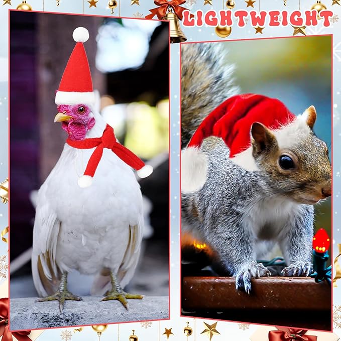 12pcs Christmas Pet Chicken Hat Scarf Set, Mini Adjustable Santa Hat Small Animal Hat Costume Set for Doll Hen Duck Hamster Guinea Pig Rabbit Kitty Puppy Parrot Lizard Xmas Cosplay Party Supply