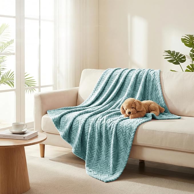 Exclusivo Mezcla Large Fleece Throw Blanket for Couch, Sofa, Celadon | 50"x70" Soft Breathable Lightweight Flannel Throws for Summer, Plush Cozy Jacquard Wave Blanket for Home Decor