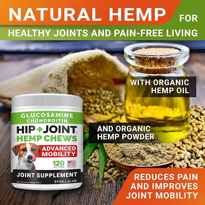Large Breed Hemp + Glucosamine Dog Joint Supplement - Hemp Chews for Dogs Hip Joint Pain Relief - Omega 3, Chondroitin, MSM - Advanced Mobility Hemp Oil Treats for Large Dogs - Made in USA - 240 Ct