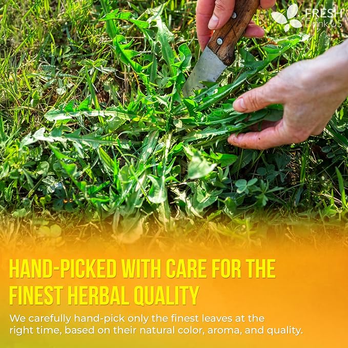 FreshDrinkUS, Premium 75 Dandelion Leaves and Roots Tea Bags, 100% Natural & Pure, Herbal Tea, Daily Infusion Botanical, No Sugar, No Caffeine, No Gluten, Vegan. Powerful Support.