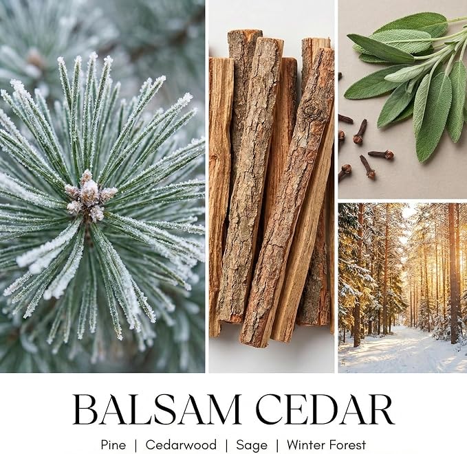 HomeLights Balsam Cedarwood Scented Candles | 6.7oz Soy Candles Industrial Chic Large Candle Jars | Ideal Candle Gifts for Events, Home Decor Stress, Relief & Relaxation