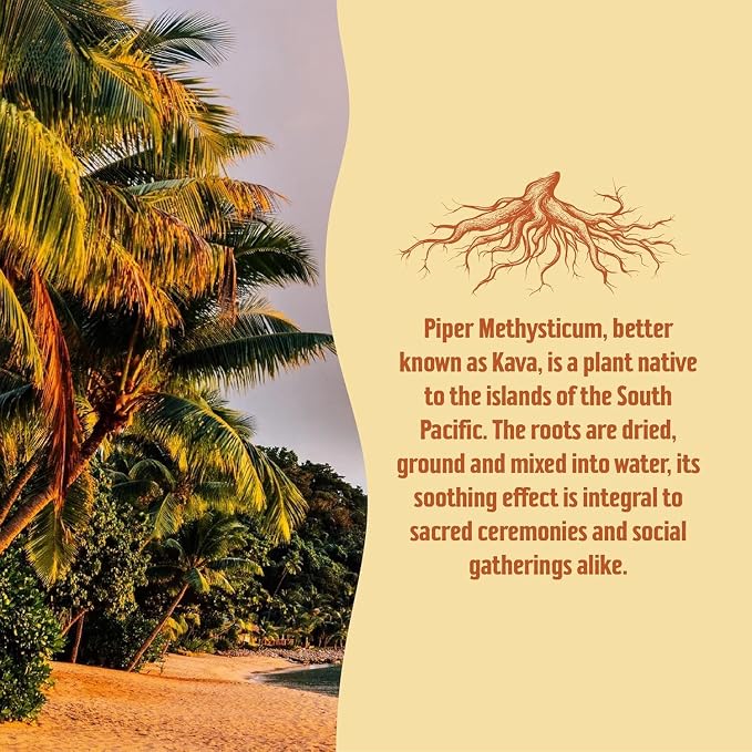 Taki Mai Mango Kava Kava 2.5 oz (6-pack) Shots – Noble Kava Root Drink, Ready to Drink for Stress Support & Relaxation, Fast Acting Herbal Support for Calming Better Sleep and Balanced Mood