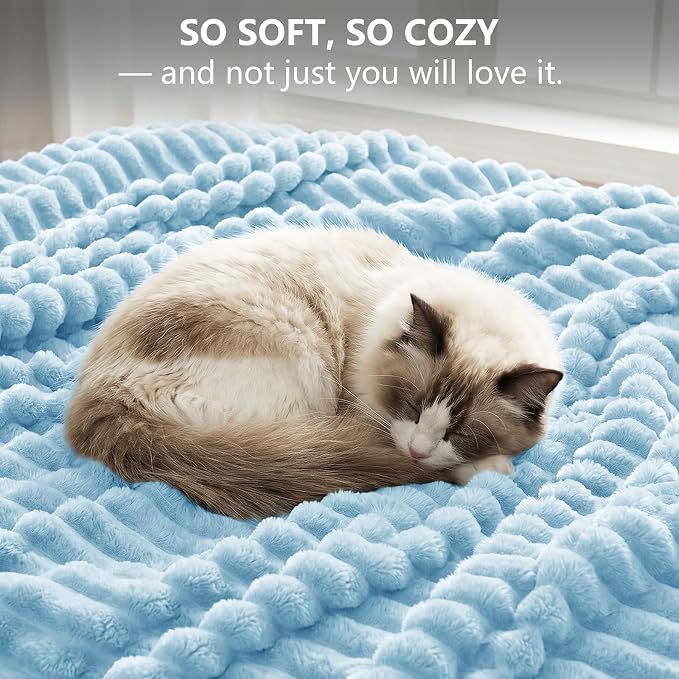 Light Blue Throw Blanket for Couch & Bed, 50 x 60 Inch | 300GSM Ribbed Fleece Blanket, Soft, Cozy & Lightweight, OEKO-TEX Certified, All-Season Use for Travel, Dorm & Home Decor