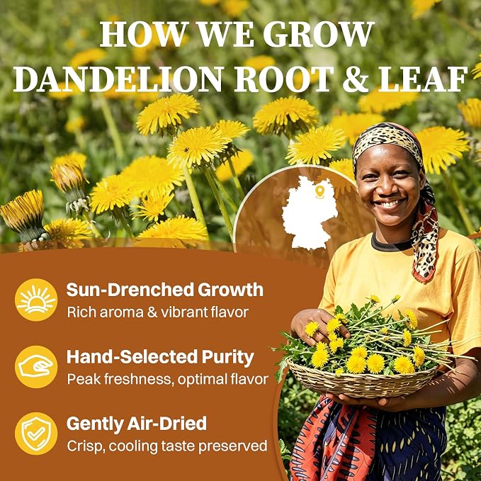 SKMTT Dandelion Root Tea Bags, 120 Count (2g/bag) – Natural Dandelion Leaf & Root Herbal Tea, Caffeine Free & Non-GMO, Roasted Earthy Flavor