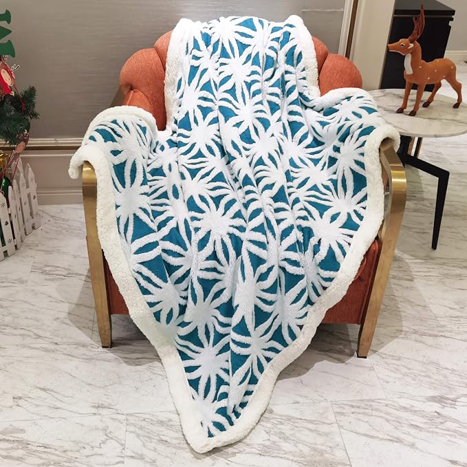 LOMAO Sherpa Fleece Blanket Fuzzy Soft Throw Blanket Dual Sided Blanket for Couch Sofa Bed (Teal, 60''x80'')