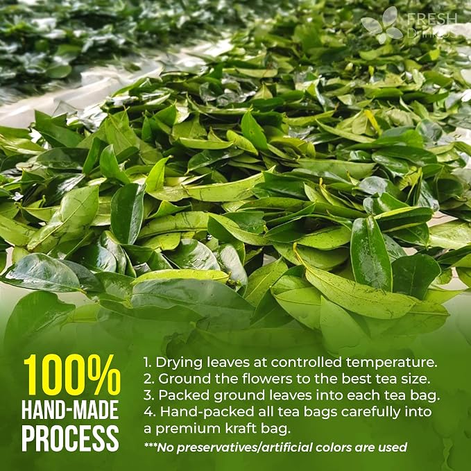 FreshDrinkUS, Premium 10 Soursop Graviola Leaf Tea Bags, 100% Natural & Pure from Soursop Leaves, Hoja Guanabana Herbal Tea. Made with Natural Material Tea Bags. No Sugar, No Caffeine, Vegan.