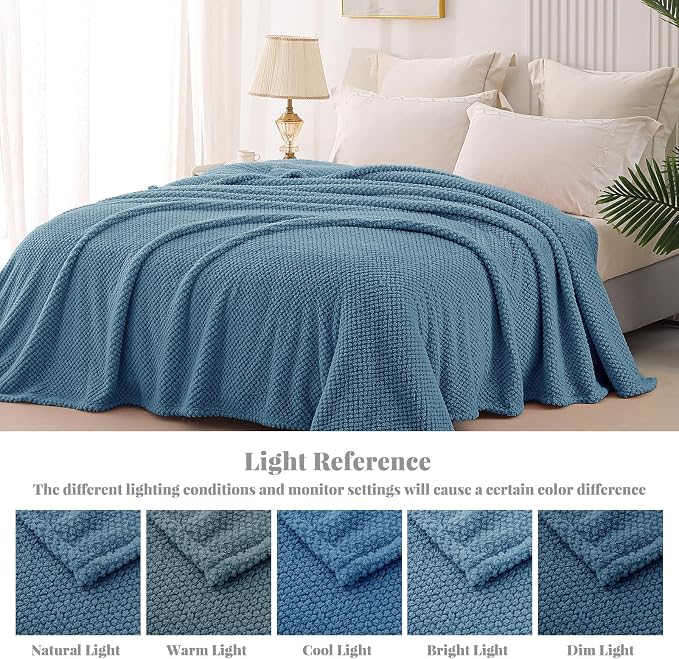 Whale Flotilla Soft Fleece Queen Size Bed Blanket, Slate Blue | 90x90 Inch, Suitable for Bed, Fluffy Fuzzy Jacquard Blankets for All Season, Lightweight and Cozy