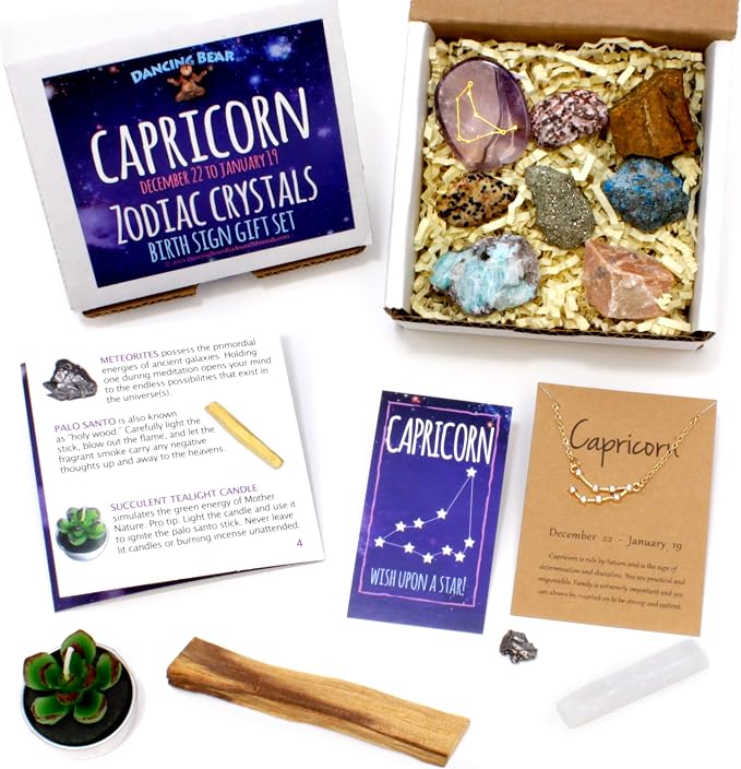 DANCING BEAR Capricorn Zodiac Healing Crystals Gift Set (14 Pc): 9 Stones, 18K Gold-plated Constellation Necklace, Meteorite, Succulent Candle, Palo Santo Smudge stick, and Info Guide, Made in the USA