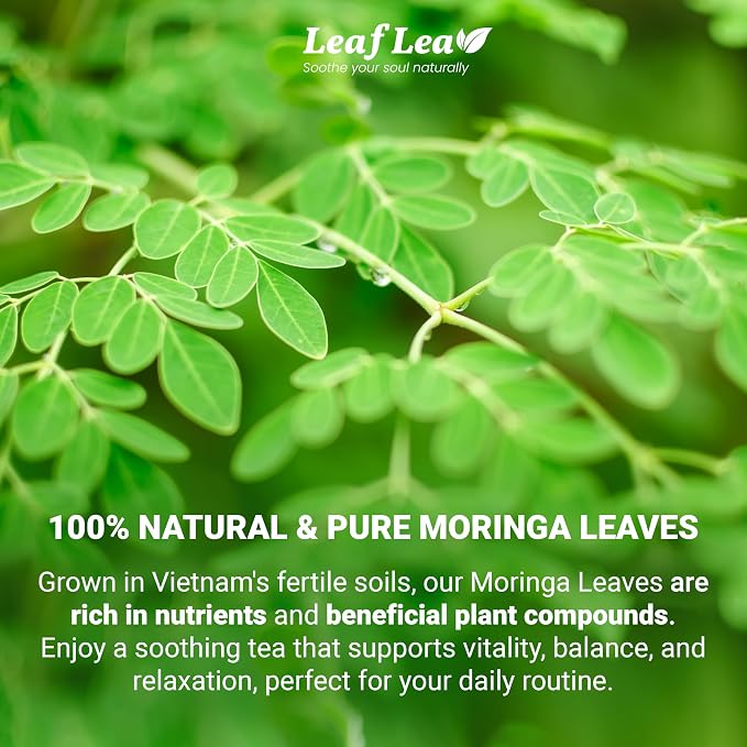 LeafLea Moringa Tea Bags, 100% Pure Moringa Leaf Herbal Tea, 40 Count | Single-Ingredient Moringa Oleifera, Individually Foil-Wrapped for Freshness, Caffeine-Free, Sugar-Free, Vegan