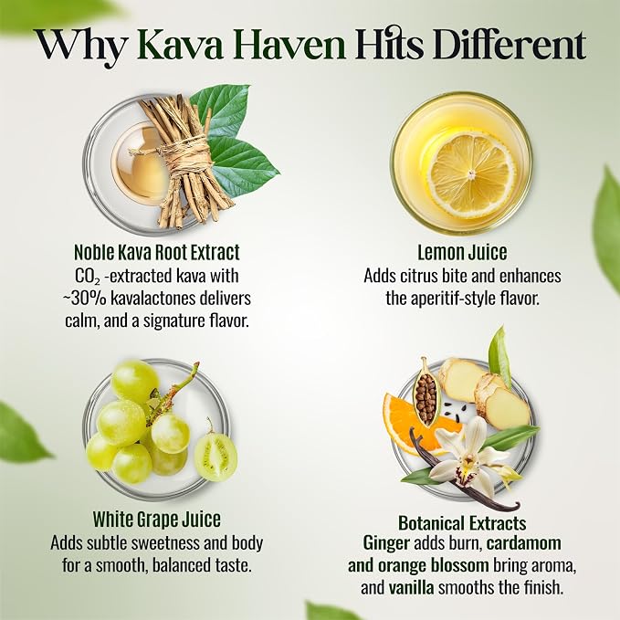 Kava Haven Non Alcoholic Spirit Kava Kava Drink | Non Alcohol Alternative Spirit for Mixed Drink Recipes | Low Calorie | All Natural | - Lemon Ginger Flavor (Pack of 2)