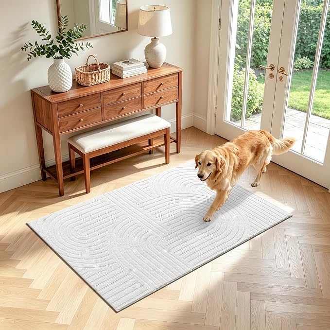 Pauwer 2x3 Area Rugs for Living Room, Modern Non Slip Washable Rug, White | Arch Pattern, Soft Fluffy, Neutral, Boho Accent, Solid Color Floor Carpet, For Kids Room Dining Room Nursery Entryway