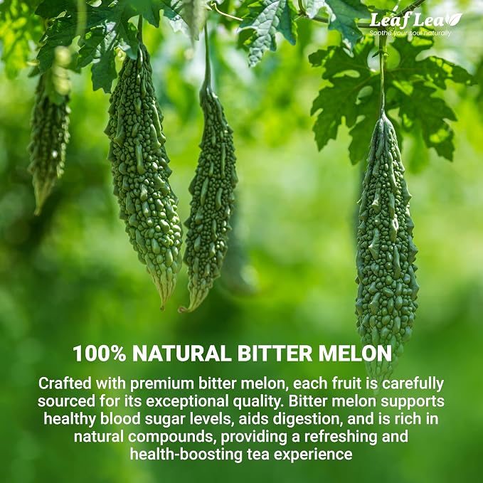 LeafLea Bitter Melon Tea Bags, Ampalaya Bitter Gourd Tea, 80 Count | Natural Tra Kho Qua Herbal Fruit Tea, Caffeine-Free, Sugar-Free, Vegan, 2 Boxes, Keep One & Share One