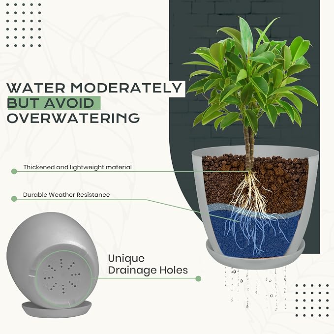 Plant Pots Indoor with Drainage, 10 Pack Multi-Size Planters Set, Grey | Drainage holes included Multiple sizes 7/6.6/6/5.3/4.8 In Indoor plants and flowers Durable plastic construction
