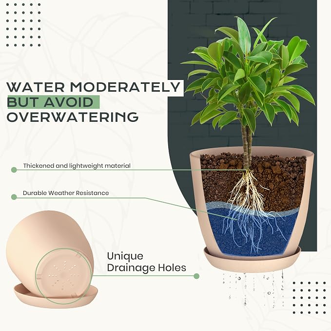 Plant Pots Indoor with Drainage, 10 Pack Multi-Size Planters Set, Pink | Drainage holes included Multiple sizes 7/6.6/6/5.3/4.8 In Indoor plants and flowers Durable plastic construction