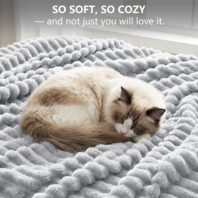 Light Gray Twin Blanket for Bed & Couch, 60 x 80 Inch | 300GSM Ribbed Fleece Blanket, Soft, Cozy & Lightweight, OEKO-TEX Certified, All-Season Use for Travel, Dorm & Home Decor