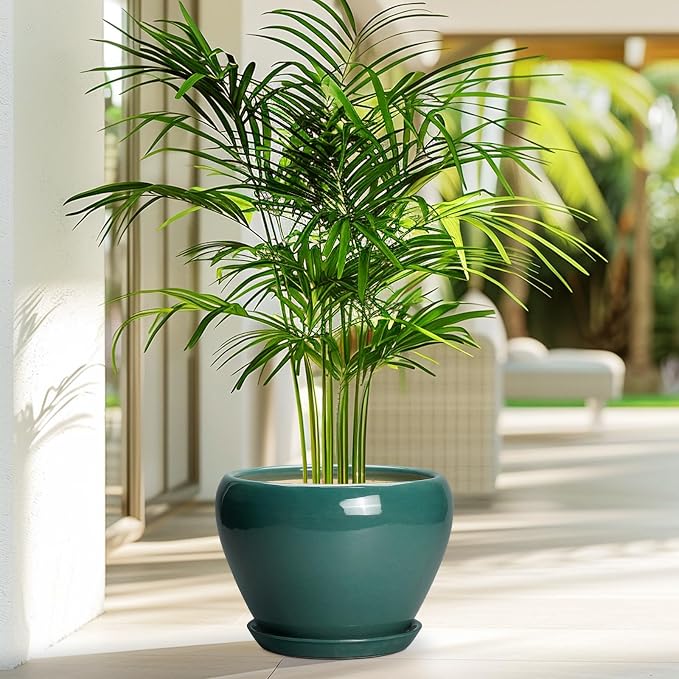 Ceramicfor 8 Inch Plant Pot - Ceramic Planter for Indoor Outdoor Plants, Glaze Modern Round Ceramic Flower Pot with Drainage Hole and Saucer, Gifts for Plant Lover, Home Office Patio Decor, Green