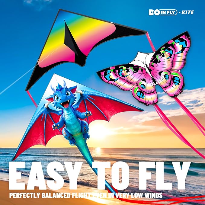Kite for Ages 8-12, Easy to Fly and Assemble Rocket Kites for Beginner, Single Line String Professional Kites for Beach and Outdoor Activity