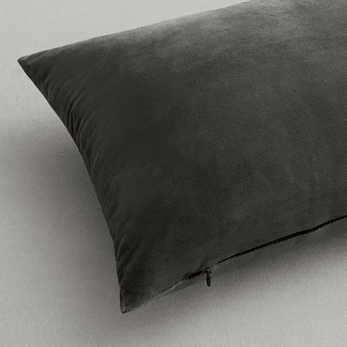 MIULEE 24x24 Inch Pack of 2 Euro Velvet Throw Pillow Covers Medium Gray | Soft Solid Decorative Euro Sham, Modern Luxury Home Decor, for King Bed Sofa Couch Bedroom Livingroom