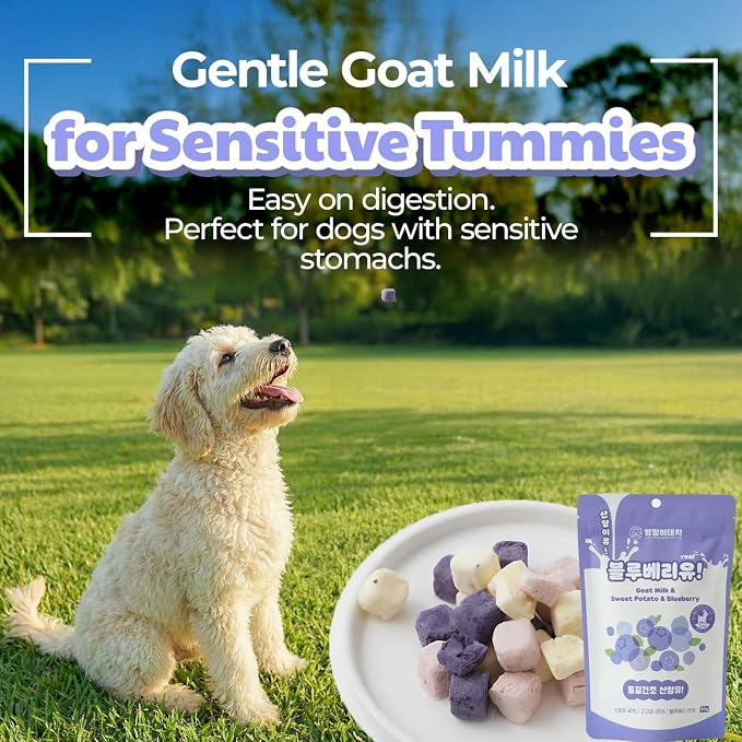 Freeze-Dried Goat Milk Dog Treats, Blueberry, 1.76 oz