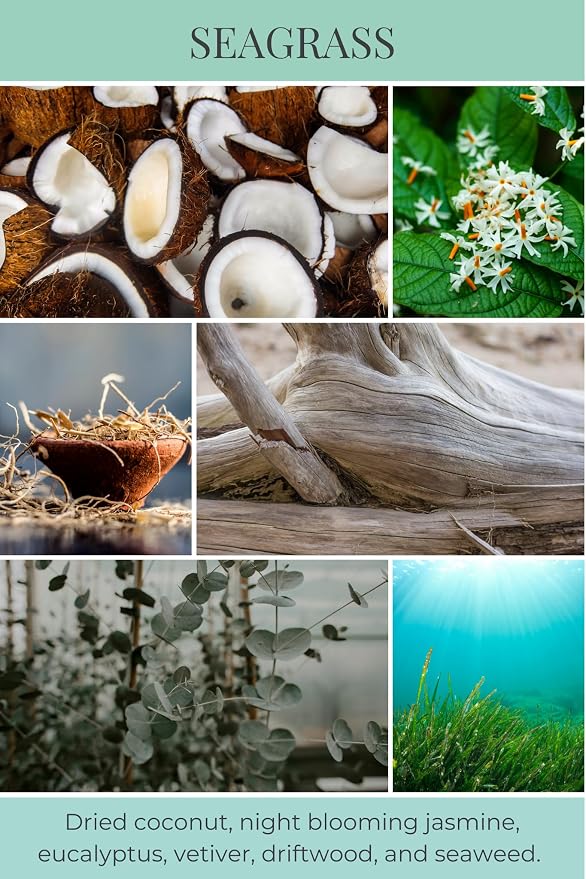 Eco Candle Co. Seagrass Tea Light Candles, 10-Pack, 9 Hr Burn Time | Scents of Coconut, Jasmine, Eucalyptus, Vetiver, Driftwood, & Seaweed - Recyclable, No Lead, Hand Poured, Midwest Soybeans