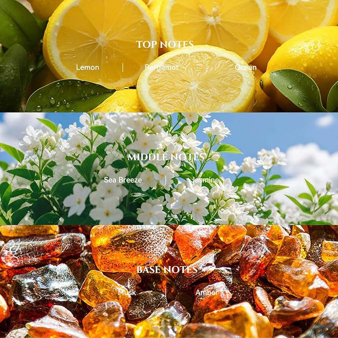 AROMADD AROMADD Bergamot Coastal Hotel Diffuser Oil Inspired by Luxury Hotel Collection Scent, Premium Fragrance Oil for Waterless Diffusers, Cold Air & HVAC Diffusers, Long-Lasting,6.76 fl oz(200 mL)