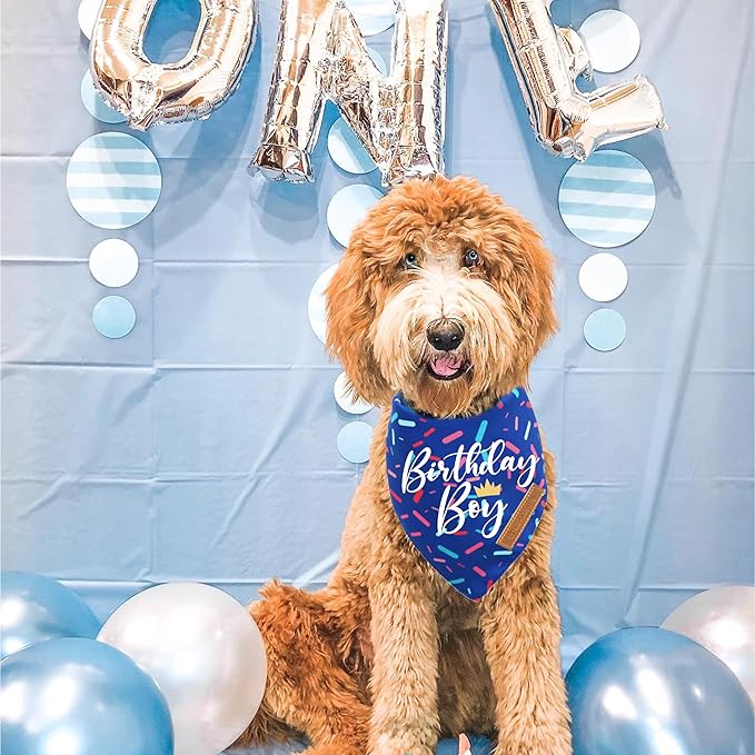 Realeaf Birthday Boy Dog Bandana, Dog Birthday Party Supplies,Premium Durable Fabric, Bandana for Small and Medium Dogs Pets (Blue, Small)