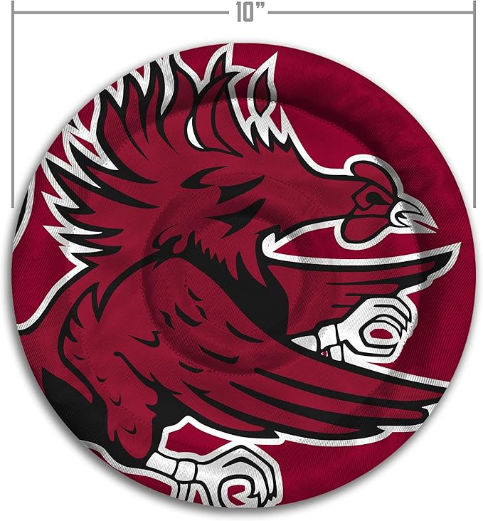 YouTheFan NCAA South Carolina Gamecocks Flimzee Bean-Bag Flying Disc