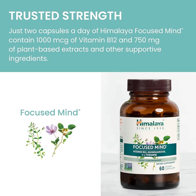 Himalaya Focused Mind Supplement, with Ashwagandha, Bacopa & L-Theanine for Attention, Focus and Energy Support, 60 Vegan Capsules, Gluten Free, 1 Month Supply