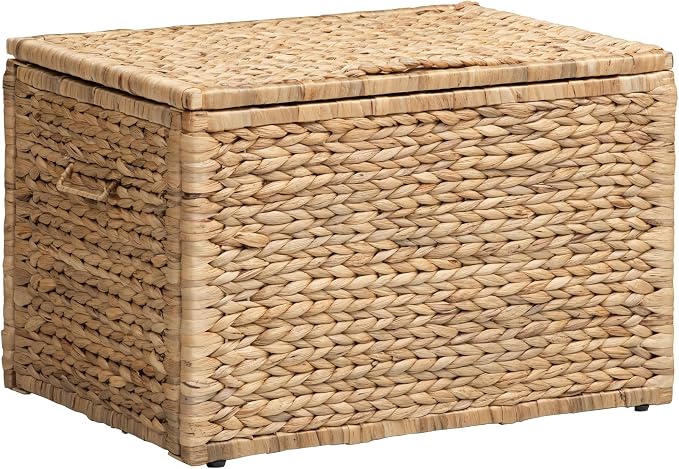 Storage Trunk with Metal Frame, Natural, 23.3 by 16.5 by 15.2 Inches | Safety Hinge, Heavy-duty Wicker Chest, Handwoven Water Hyacinth