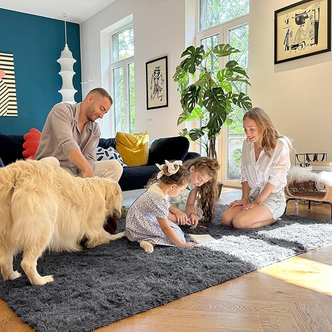 OLANLY 5x10 Machine Washable Large Area Rugs for Living Room, Bedroom, Soft Fluffy Shaggy Bedside Rug, Indoor Floor Carpet for Kids Girls and Boys, Dorms, Nursery, Home Decor Aesthetic, Grey