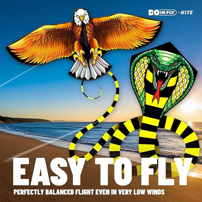 Kite for Ages 8-12, Easy to Fly and Assemble Rocket Kites for Beginner, Single Line String Professional Kites for Beach and Outdoor Activity
