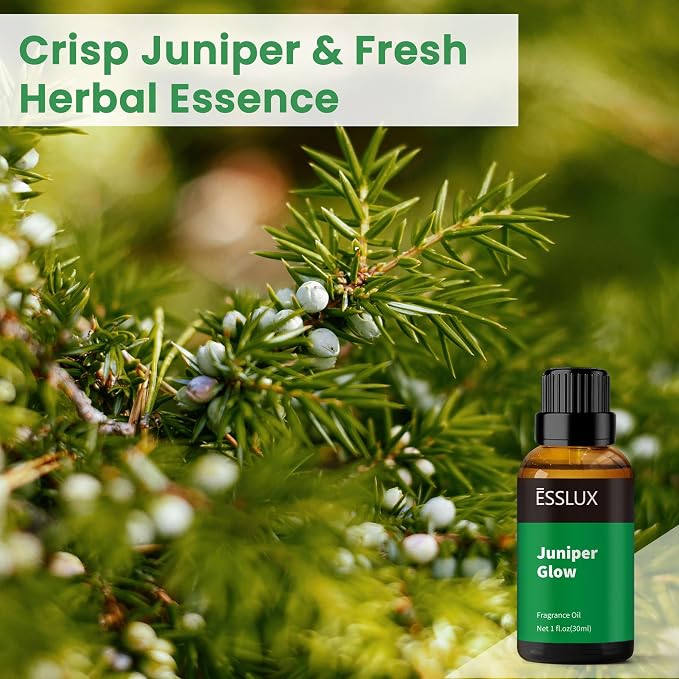 Fragrance Oil, ESSLUX Essential Oils for Home for Diffuser, Juniper Glow Fresh Crisp Scents Cologne Herbal Notes for Candle Soap Making Scents, Middle Eastern Perfume, 30ml