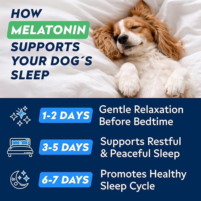 STRELLALAB Melatonin for Dogs to Sleep 6mg - Doggie Sleep Aid Treats - Sleeping Pills for Anxiety - Extra Strength Calming Chews Large & Small Breed Help Sleep at Night - Made in USA - 60Ct