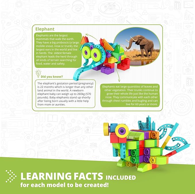Engino QBOIDZ, Elephant Explorer, Building Blocks Ages 4+, STEM Toys for Boys & Girls, Building Toys, Preschool Educational Set, Montessori (10 Models)