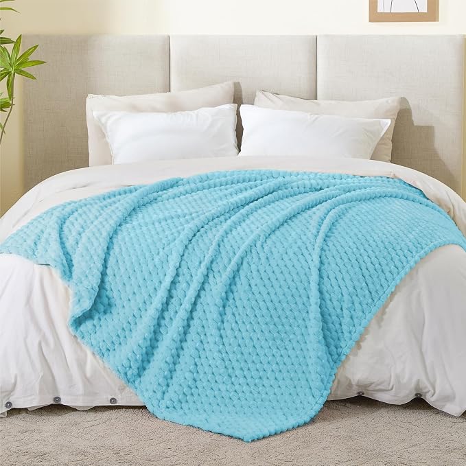 BEDELITE Light Blue Throw Blanket for Couch, Soft Gifts for Women, 50 * 60 | 3D Jacquard Decorative Fleece Blanket, Super Soft Plush Throws, Cute Birthday Gift for Women & Men, Suitable for All Seasons