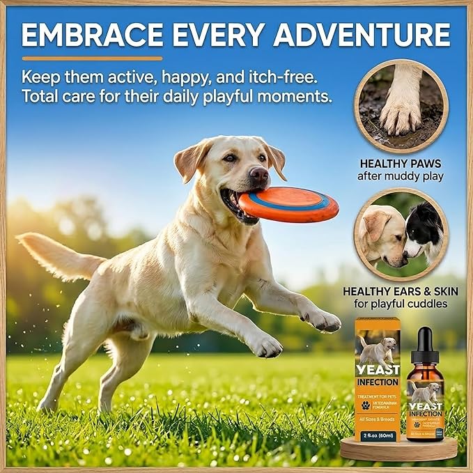 Yeast Infection Treatment for Dogs, Natural Itch Soothing for Skin and Ears | Dog Ear Infection Treatment and Anti Yeast Drops, Natural Ingredients Gentle Daily Dogs & Cats Care, 2 Fl Oz
