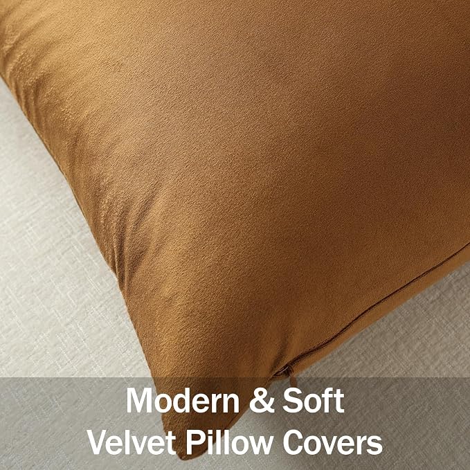 Lumbar Pillow Covers 12x20 Golden Brown: Pack of 2 Cozy Soft Velvet Rectangular Modern Luxury Decorative Throw Pillow Cases for Sofa Couch Living Room Bed Home Decor