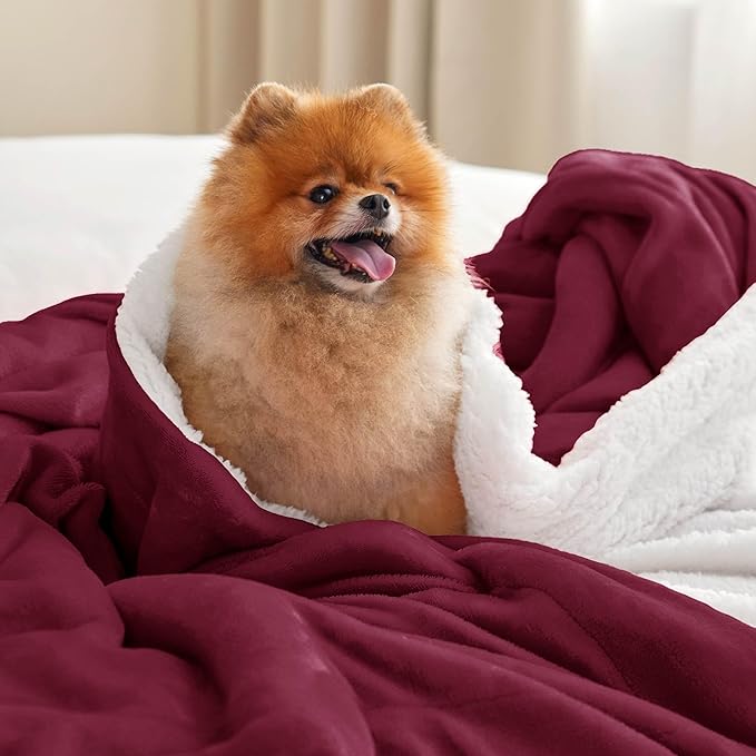 Bedsure GentleSoft Sherpa Fleece Throw Blanket for Couch, Non-Heated, Thick and Warm Throw for Girls and Women, Soft Fuzzy Plush Blanket for Winter, Burgundy, 50x60 Inches
