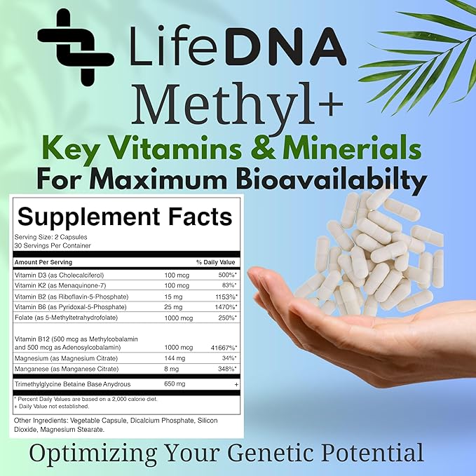 LIFEDNA Methyl + Methylfolate - Methylated Folate Vitamins Active 5-MTHF TMG Optimized Homocysteine, Brain, Cardiovascular Highly Bioavailable, MTHFR Supplement