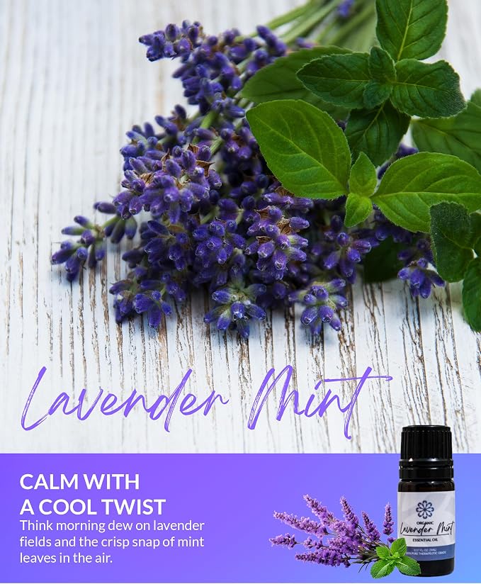 Essence Pearl Travel Case | Lavender Mint Essential Oil | Aromatherapy Nasal Diffuser & Essential Oil Carrying Case | Lavender & Peppermint Oil Blend | Travel-Friendly Kit | Black Pod