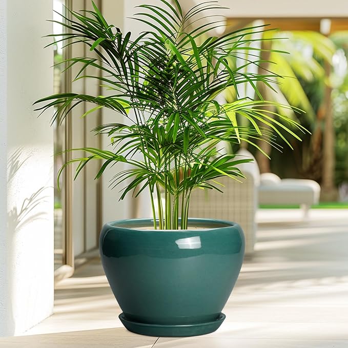 Ceramicfor Ceramic Planter for Indoor Plants 10 Inch - Ceramic Plant Pot with Drainage Hole and Saucer, Glaze Round Modern Decorative Planter, Plant Lover Gifts, Home Room Office Decor, Green