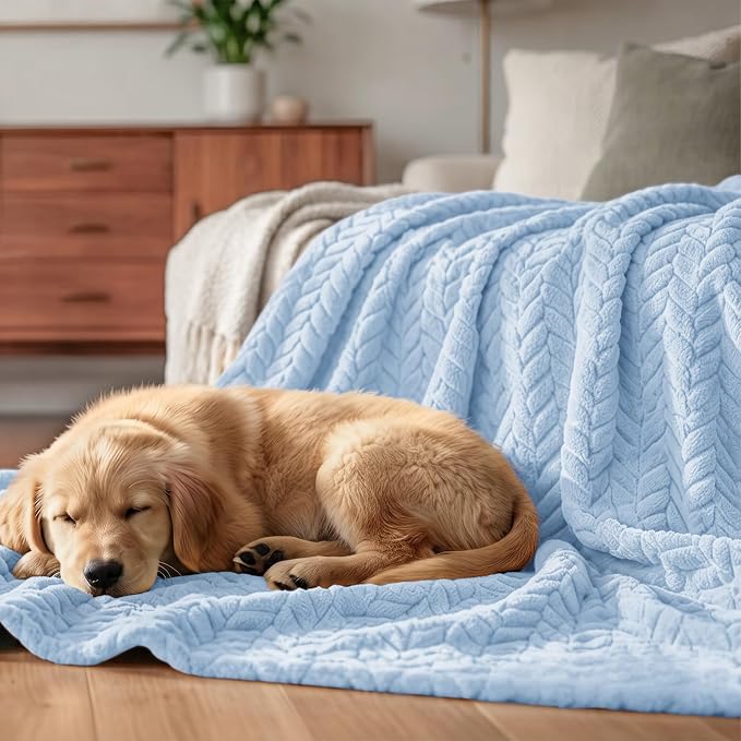 Exclusivo Mezcla Soft Fleece Bed Blanket Twin Size, 60”x80”, Light Blue | Cozy Fluffy Lightweight Blankets for Summer, Decorative Plush Flannel Throws for Living room, Bedroom with Leaves Pattern