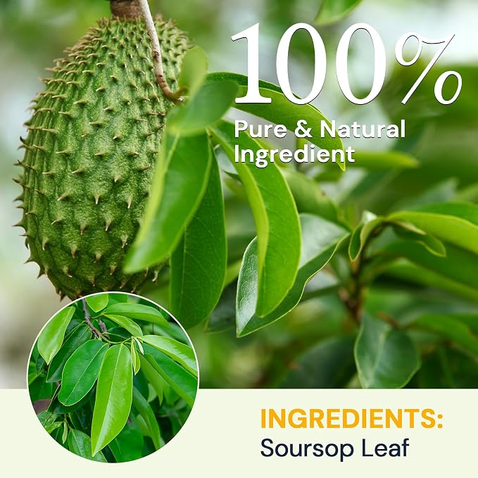 Soursop Graviola Leaf Tea Bags - Caffeine & Sugar Free, 20 Teabags