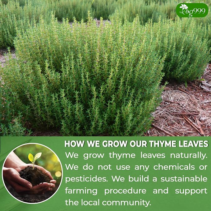 TOG999, Premium 40 Thyme Leaf Tea Bags, 100% Natural & Pure Thyme Leaves. Loose Leaf Thyme Herbal Tea. Thyme Leaf Tea. No Sugar, No Caffeine, No Gluten, Vegan.