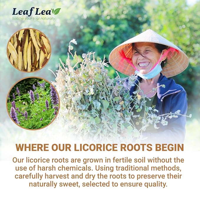 LeafLea Licorice Root Tea Bags, Caffeine-Free Naturally Sweet, 40 Count | Pure Egyptian Licorice Spice, Single Ingredient, Sugar-Free & Vegan, Foil-Wrapped for Lasting Freshness