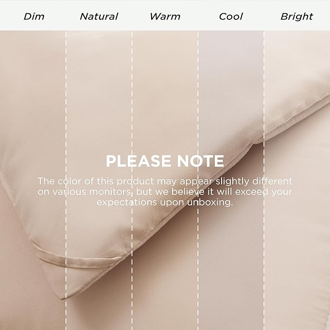 Bedsure Comforter Duvet Insert - Quilted Comforters Queen Plus Size, All Season Duvet, GentleSoft Down Alternative Bedding Blanket, with 8 Tabs, Gifts for Women/Men,Beige,Queen Plus 90 x 90 Inches