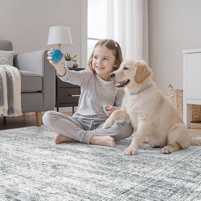 Soalmost 3x5 Rugs Non-Slip, Small Washable Kitchen Entryway Area Rug Grey | Vintage Low Pile Carpet for Nursery Coffee Table Bathroom, Foldable Stain Resistant Indoor Door Mat Entrance Powder Room