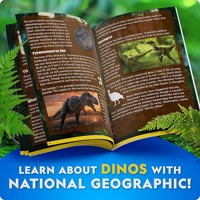National Geographic Glow-in-The-Dark Dinosaur Skeleton Model Building Kit – Build Replica Velociraptor & T. rex Skeletons, Educational Dinosaur Egg Activity Kit for Kids, Easter Basket Stuffers