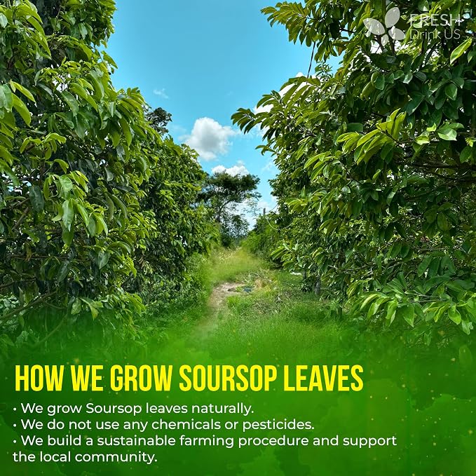 FreshDrinkUS, Premium 8oz Soursop Dried Leaves Loose Leaf Tea – 100% Pure Annona Muricata Leaves, Naturally Dried, Caffeine-Free Herbal Tea for Daily Enjoyment. Sugar-Free. Vegan